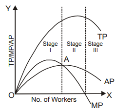 Managerial Economics mcq question image Managerial Economics mcq question image