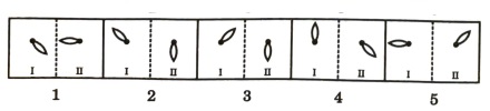 Analogy in Non Verbal Reasoning mcq question image