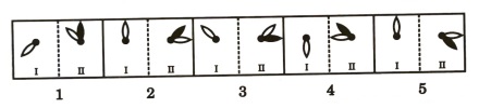 Analogy in Non Verbal Reasoning mcq question image Analogy in Non Verbal Reasoning mcq question image