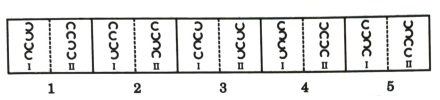 Analogy in Non Verbal Reasoning mcq question image Analogy in Non Verbal Reasoning mcq question image