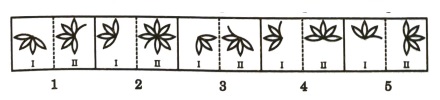Analogy in Non Verbal Reasoning mcq question image