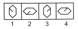Classification in Non Verbal Reasoning mcq question image Classification in Non Verbal Reasoning mcq question image