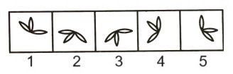 Classification in Non Verbal Reasoning mcq question image