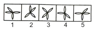 Classification in Non Verbal Reasoning mcq question image