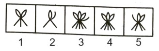 Classification in Non Verbal Reasoning mcq question image