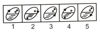 Classification in Non Verbal Reasoning mcq question image
