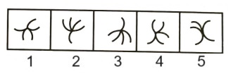 Classification in Non Verbal Reasoning mcq question image Classification in Non Verbal Reasoning mcq question image
