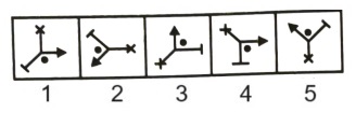 Classification in Non Verbal Reasoning mcq question image Classification in Non Verbal Reasoning mcq question image