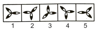 Classification in Non Verbal Reasoning mcq question image