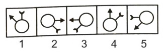 Classification in Non Verbal Reasoning mcq question image Classification in Non Verbal Reasoning mcq question image