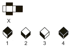 Cubes and Dice mcq question image Cubes and Dice mcq question image