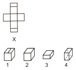 Cubes and Dice mcq question image Cubes and Dice mcq question image