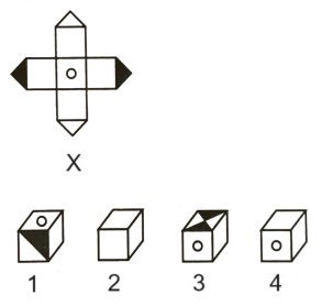 Cubes and Dice mcq question image Cubes and Dice mcq question image