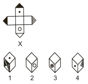 Cubes and Dice mcq question image Cubes and Dice mcq question image