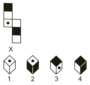 Cubes and Dice mcq question image Cubes and Dice mcq question image