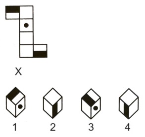 Cubes and Dice mcq question image Cubes and Dice mcq question image