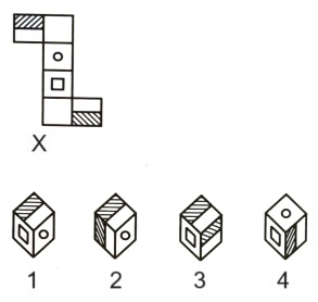 Cubes and Dice mcq question image Cubes and Dice mcq question image