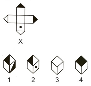 Cubes and Dice mcq question image Cubes and Dice mcq question image