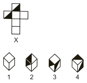 Cubes and Dice mcq question image Cubes and Dice mcq question image