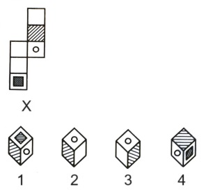 Cubes and Dice mcq question image Cubes and Dice mcq question image