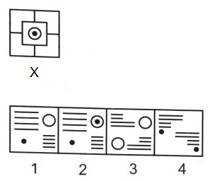 Figure Formation and Analysis mcq question image Figure Formation and Analysis mcq question image
