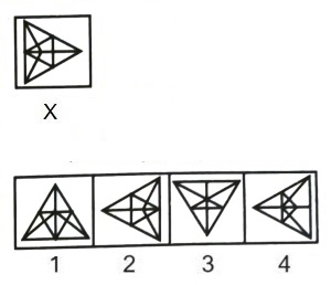 Figure Formation and Analysis mcq question image Figure Formation and Analysis mcq question image