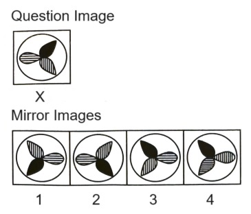 Mirror Images mcq question image
