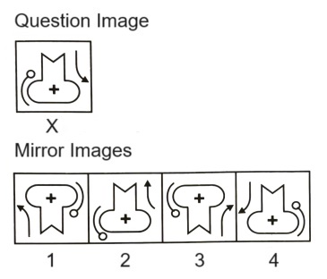 Mirror Images mcq question image