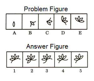 Series in Non Verbal Reasoning mcq question image