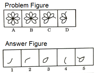 Series in Non Verbal Reasoning mcq question image Series in Non Verbal Reasoning mcq question image