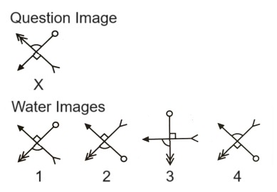 Water Images mcq question image Water Images mcq question image