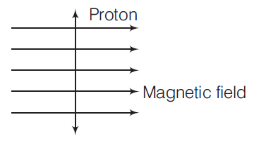 Electricity and Magnetism mcq question image