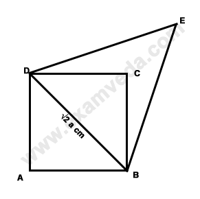Area mcq solution image Area mcq solution image