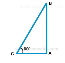 Height and Distance mcq solution image