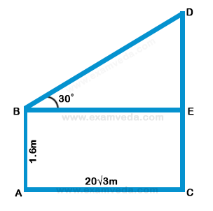 Height and Distance mcq solution image