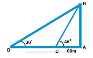 Height and Distance mcq solution image