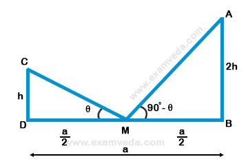 Height and Distance mcq solution image