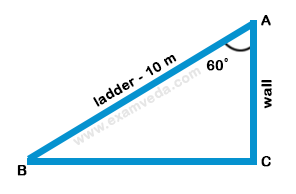 Height and Distance mcq solution image Height and Distance mcq solution image