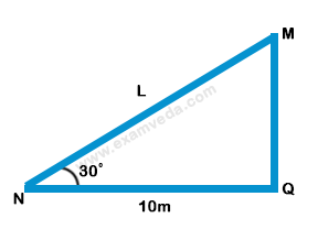 Height and Distance mcq solution image