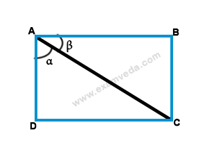 Trigonometry mcq solution image Trigonometry mcq solution image