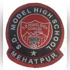 S.D. Model Senior Secondary School Logo