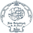 New Taiyabiyah High School Logo