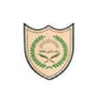 Millennium Public School Logo