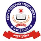 New Standard Public School Logo