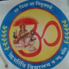 Vidya Varidhi Vidyalaya Logo