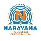 Narayana PU College Logo