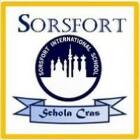 Sri Chaitanya Techno School (ICSE) Logo