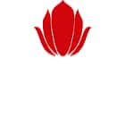 Vidyagyan School Logo