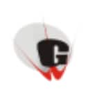 G.D. Goenka Public School Logo