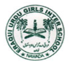 Eraqui Urdu Girls Inter School